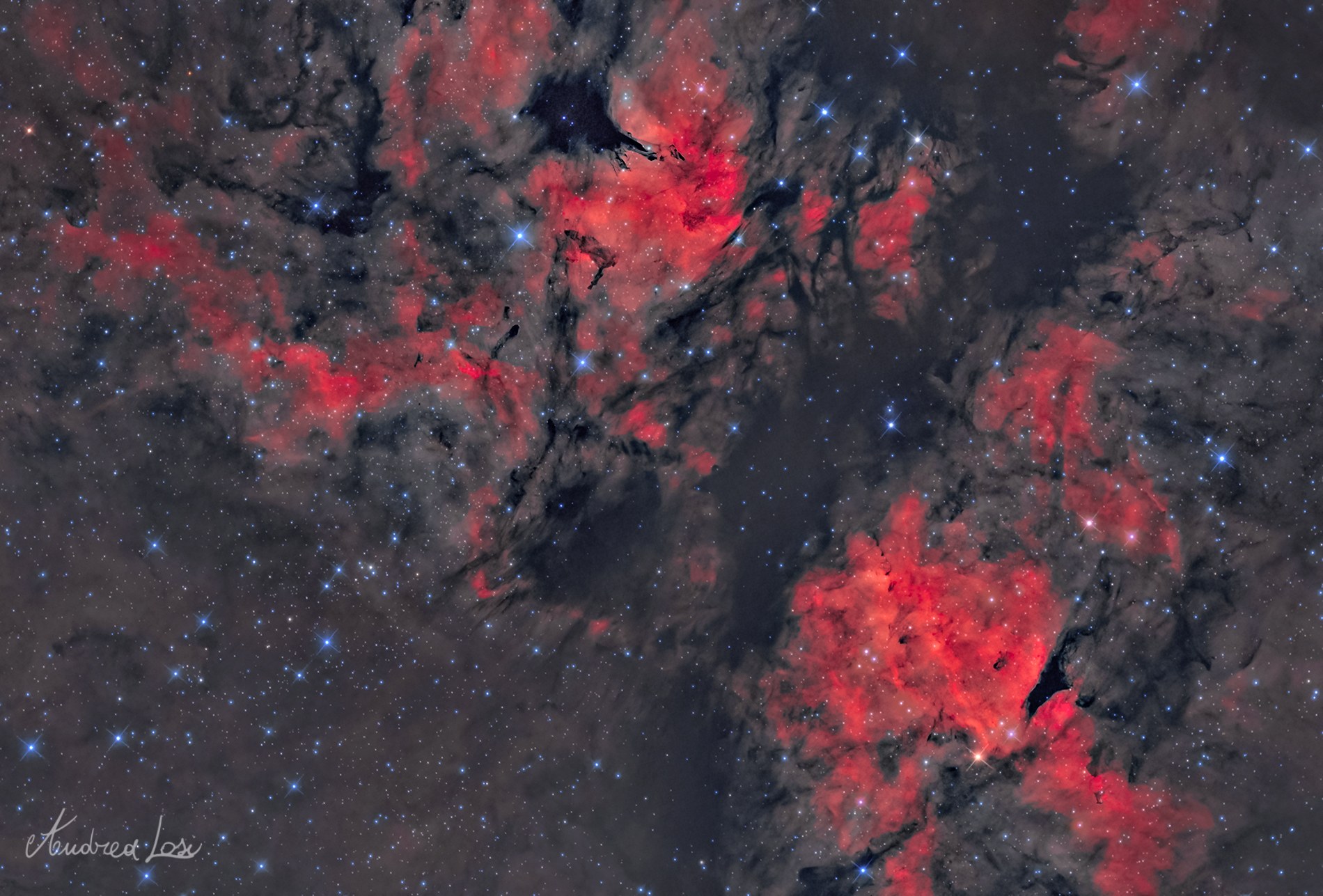 IC 1318 Butterfly Nebula HOO