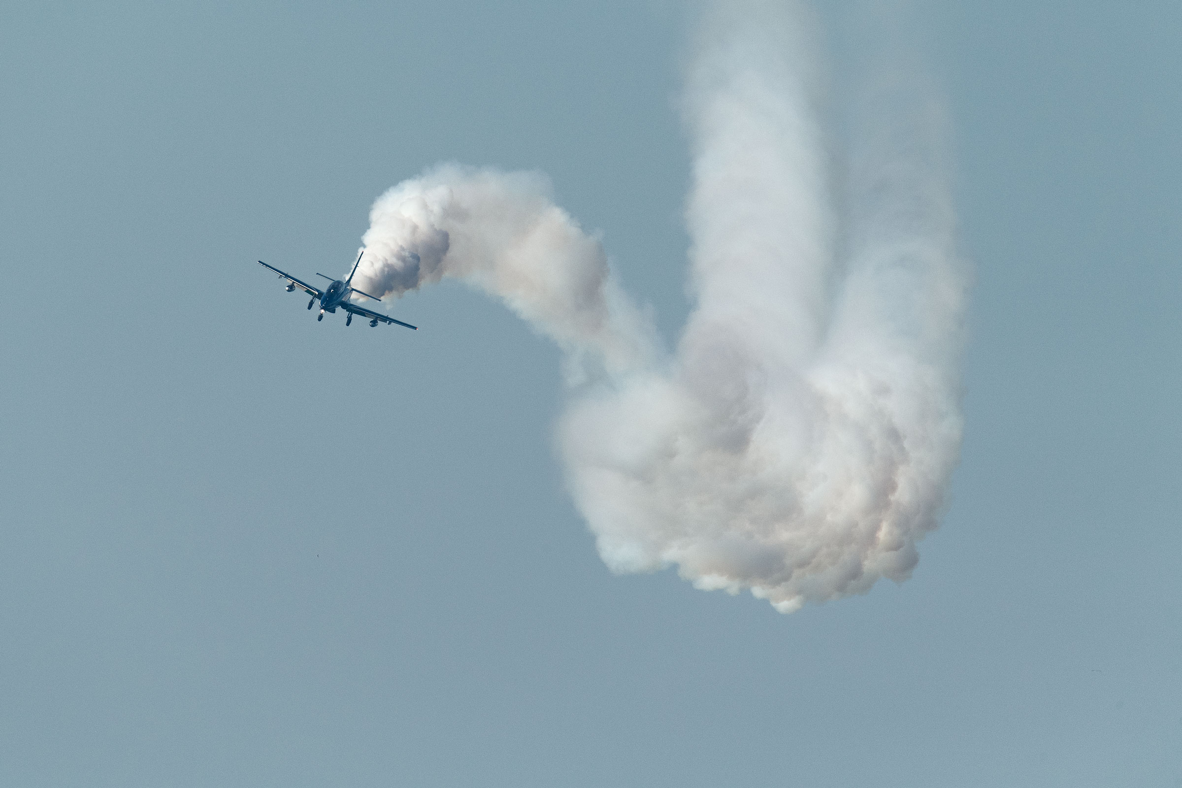 Carts Outside, Soloist