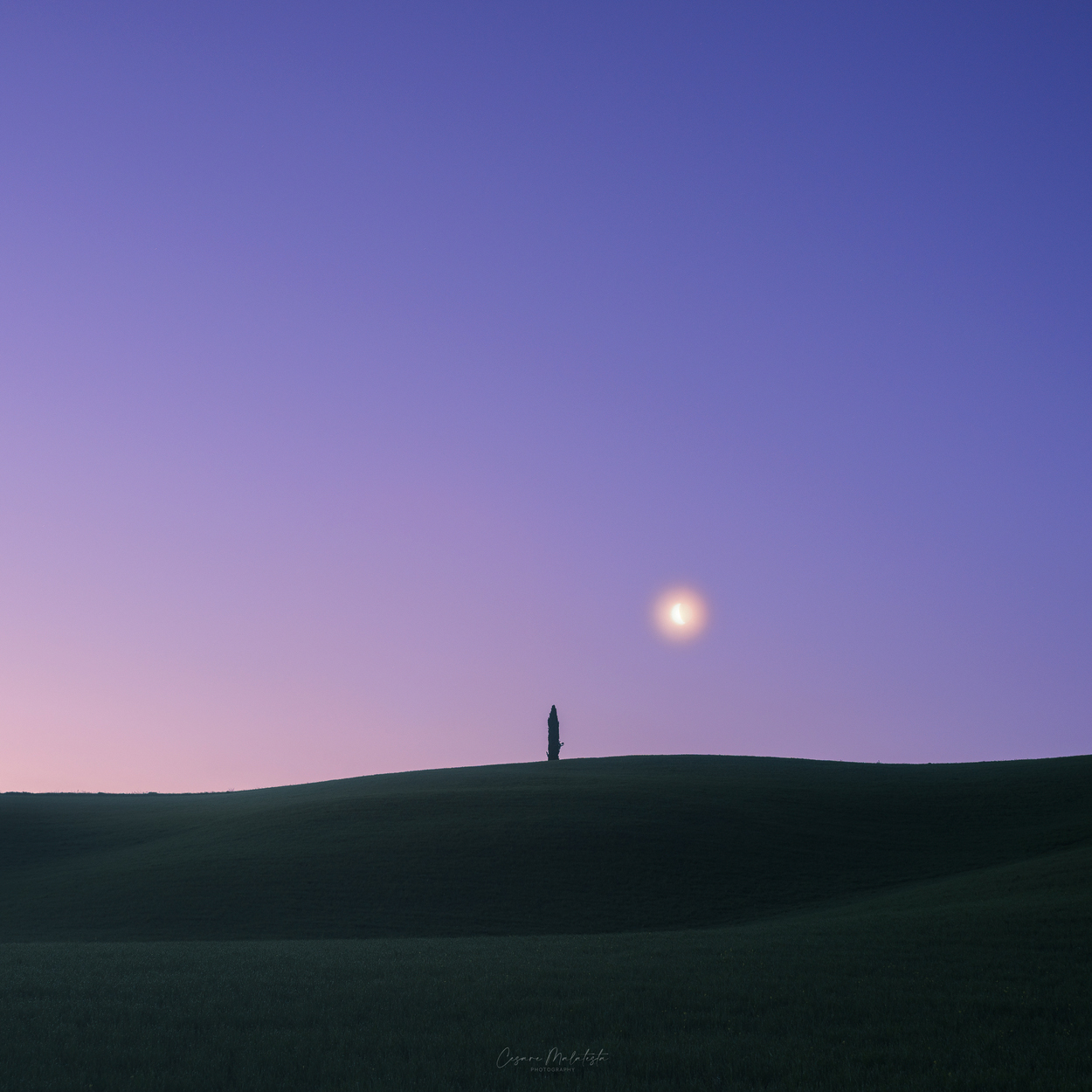 Loneliness