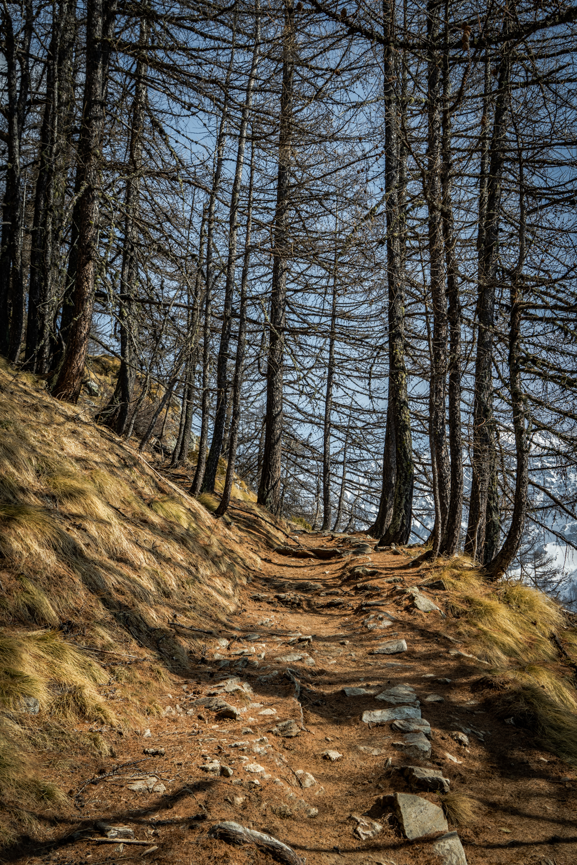 Courmayeur - Path to the Bertone refuge