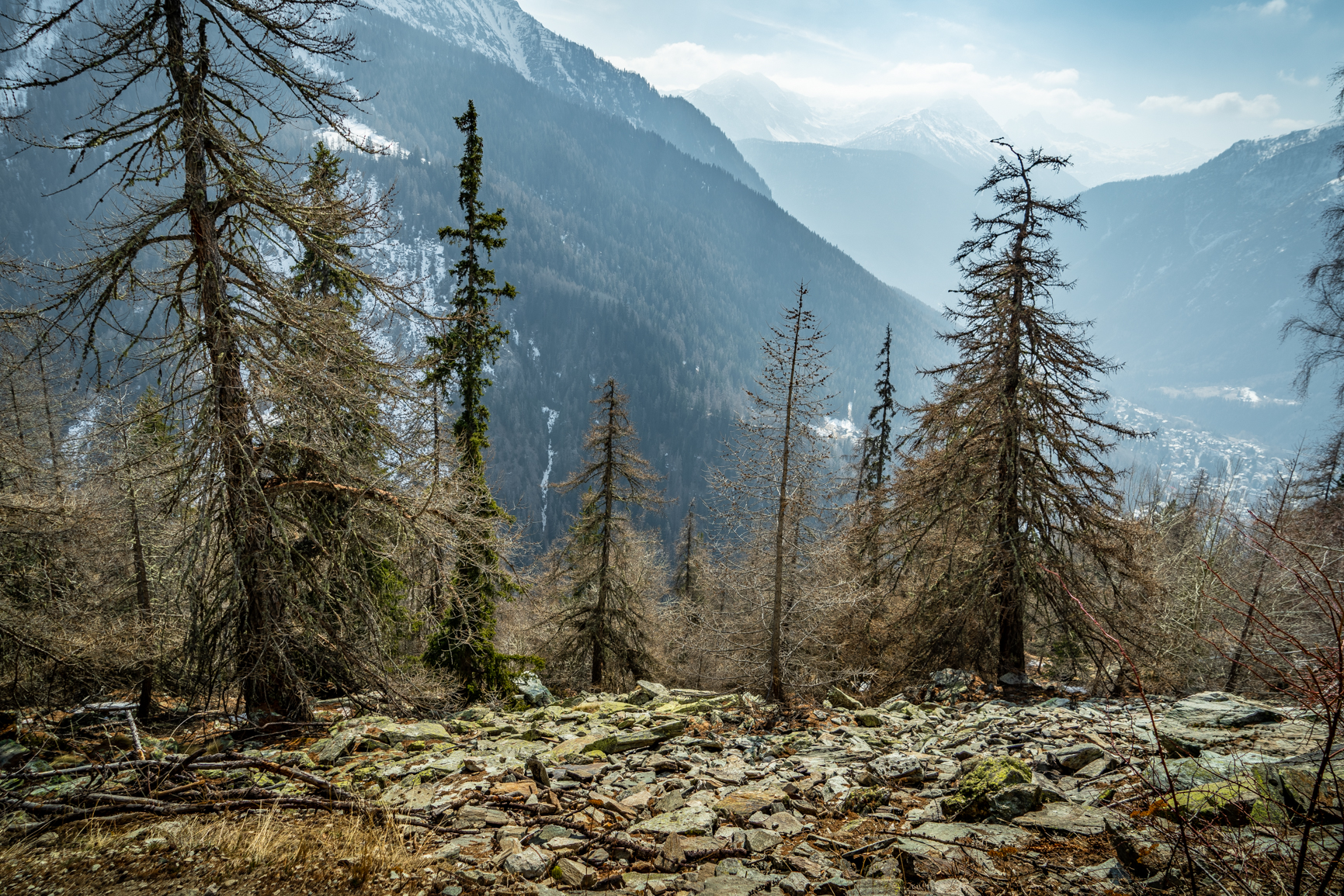 Courmayeur - Path to the Bertone refuge