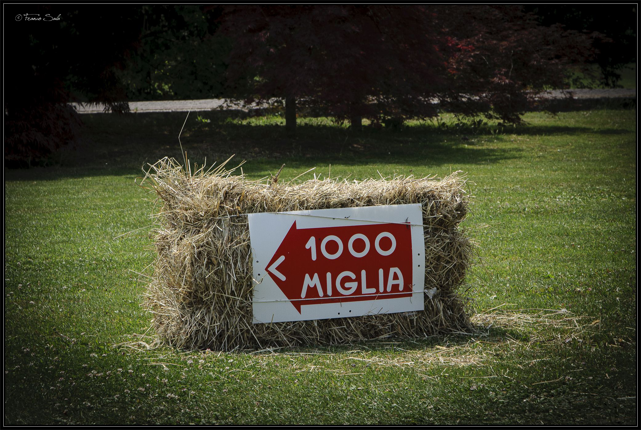 1000 Miglia 22 - Parco Sigurtà