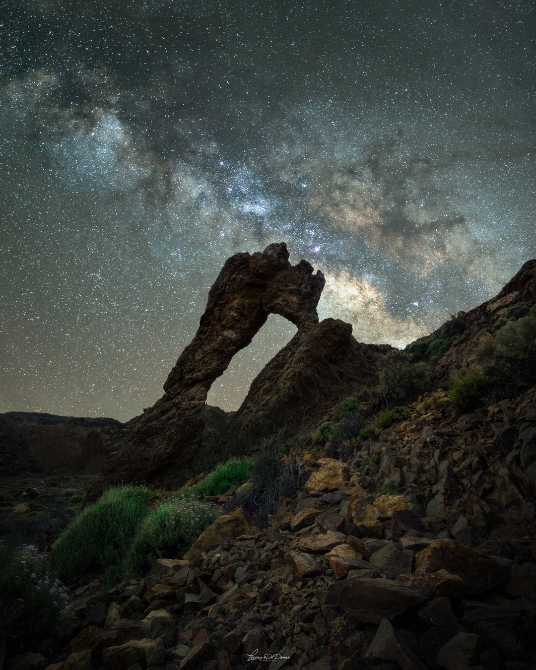 Queen's shoe - Tenerife