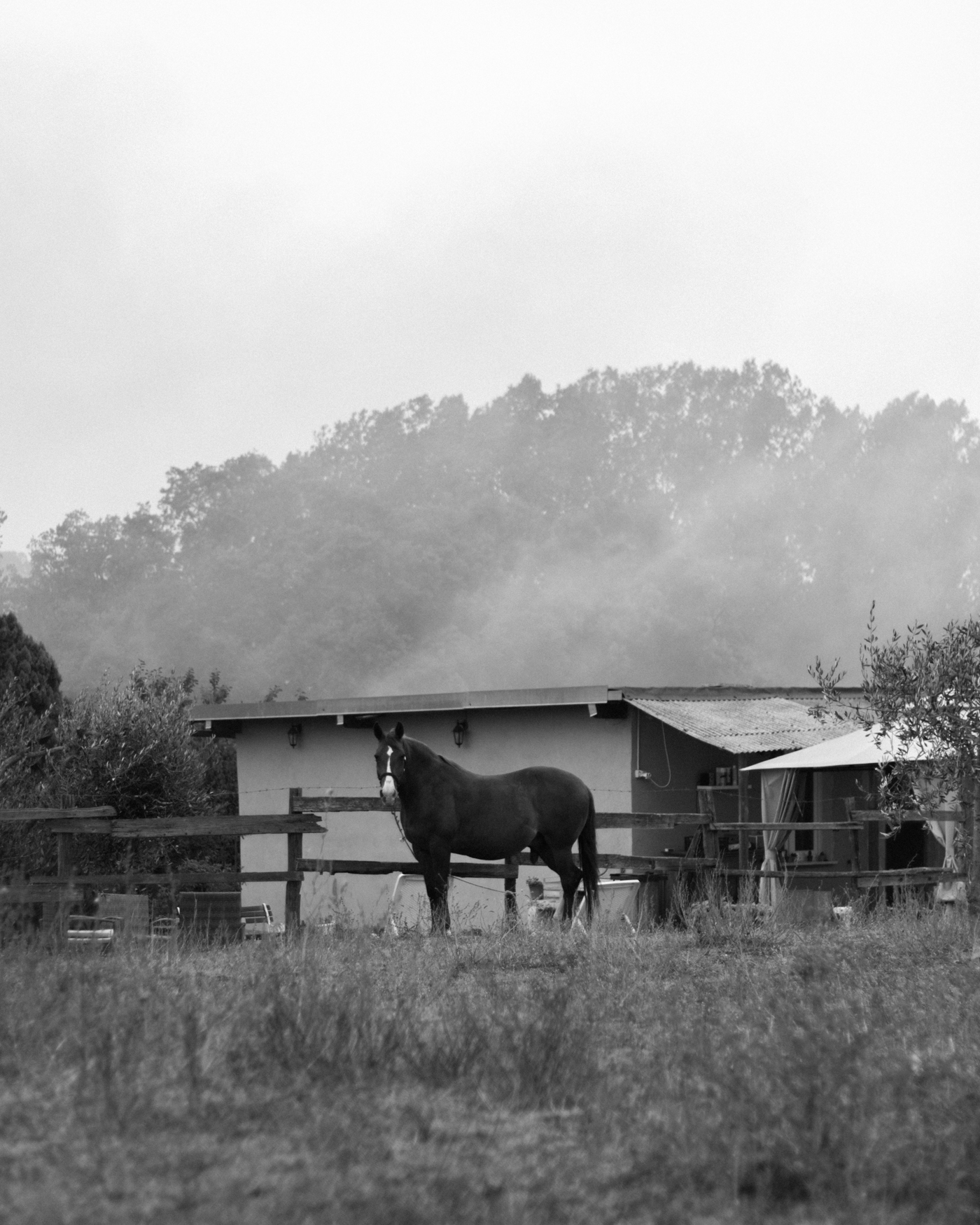 Incendio alle spalle