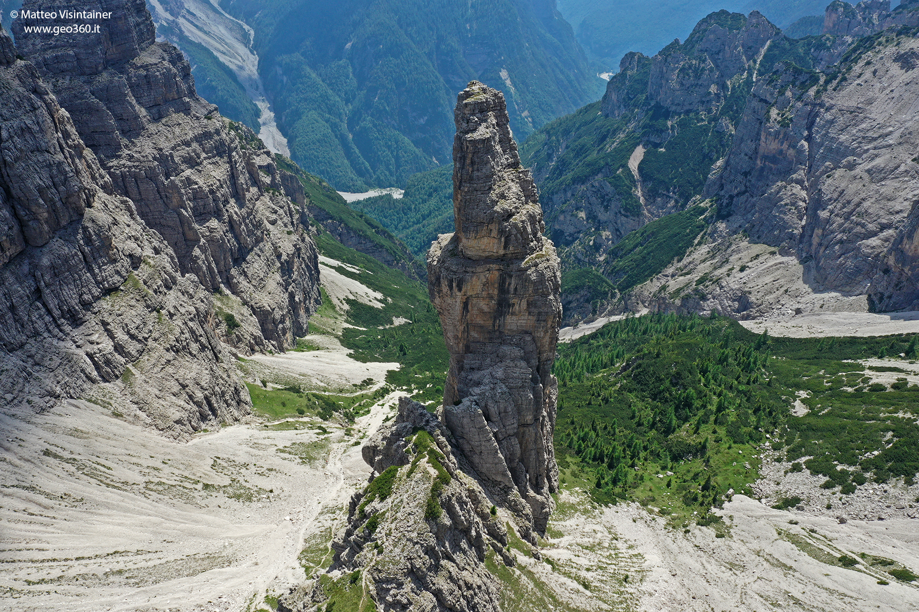 morfogenesi
