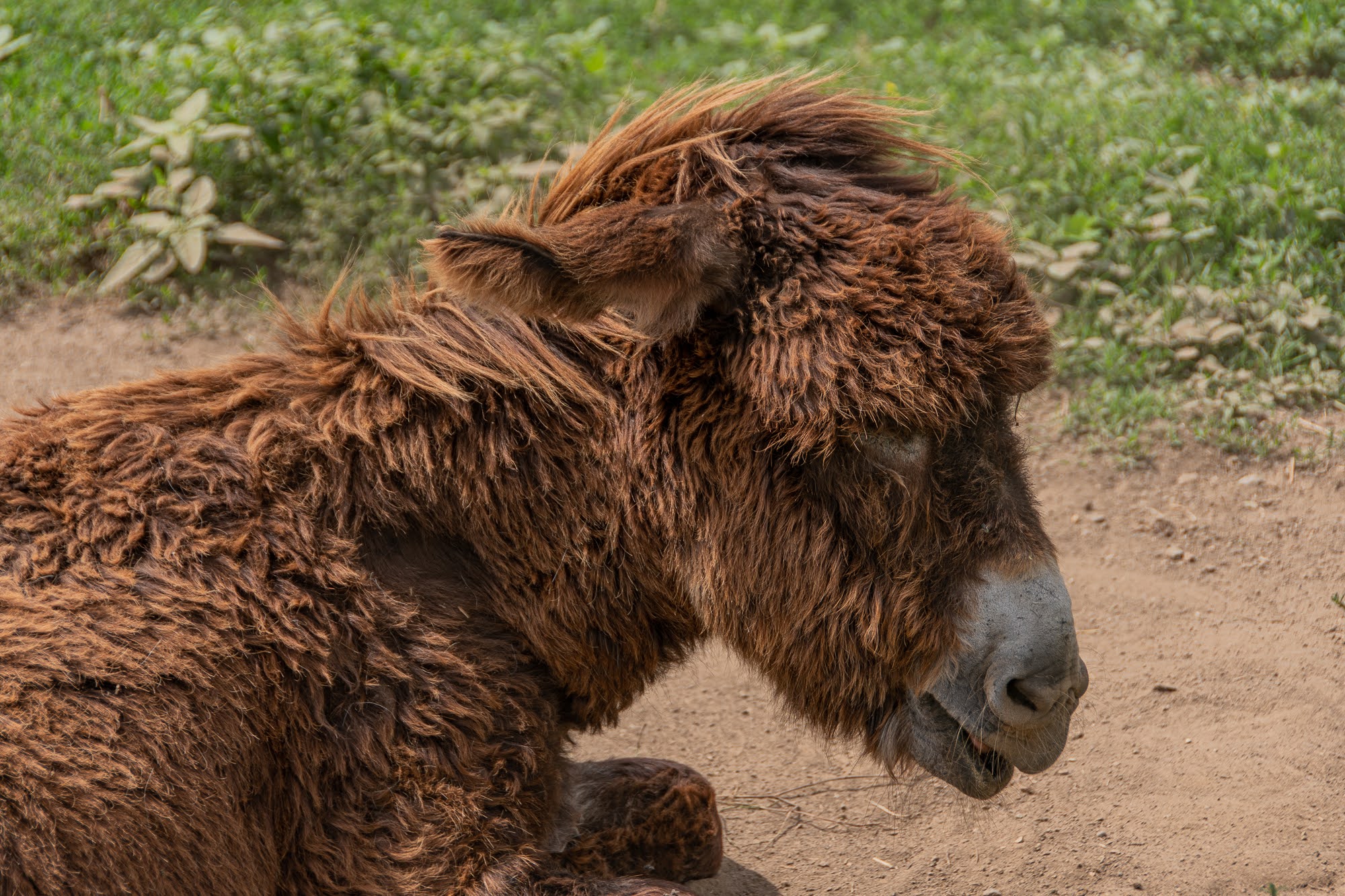 Cascina Beneficio (AL)