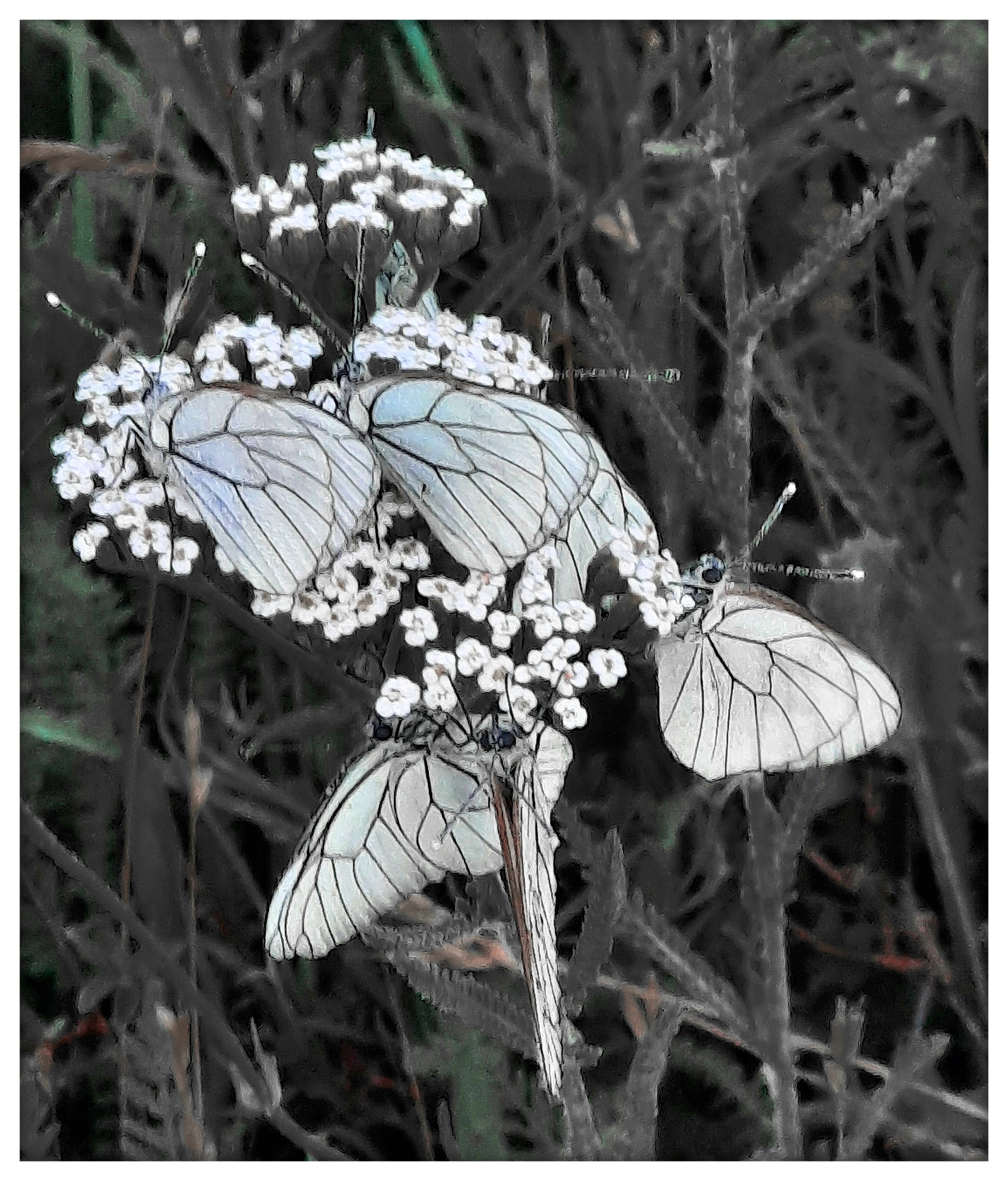 Aporia #6