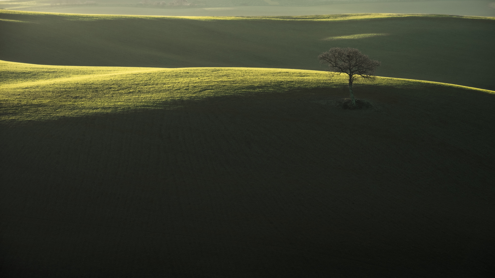 Sunrise in Val d'Orcia