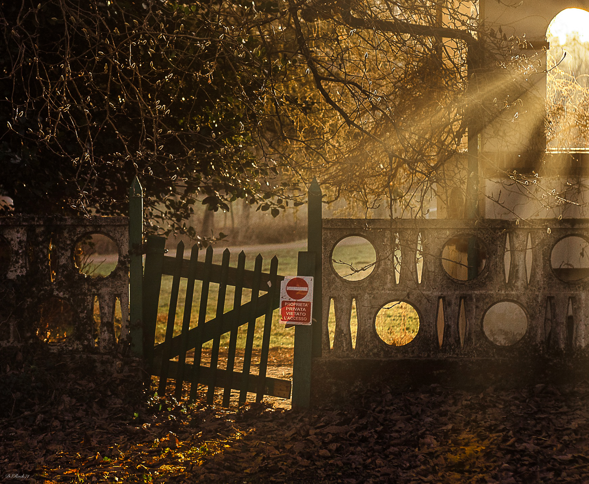 almost behind the house