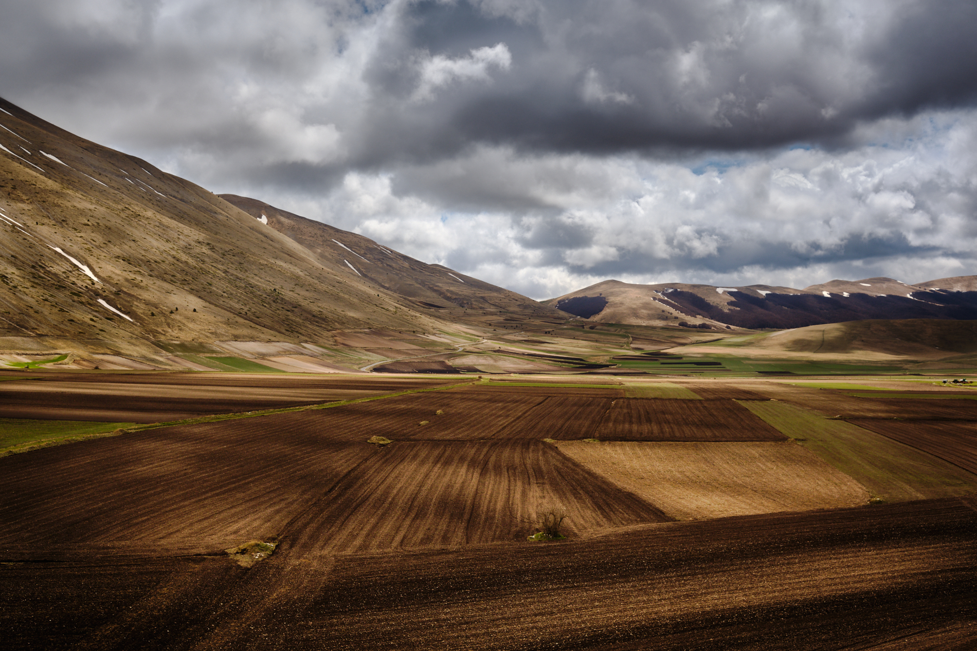 Piana Castelluccio in spring