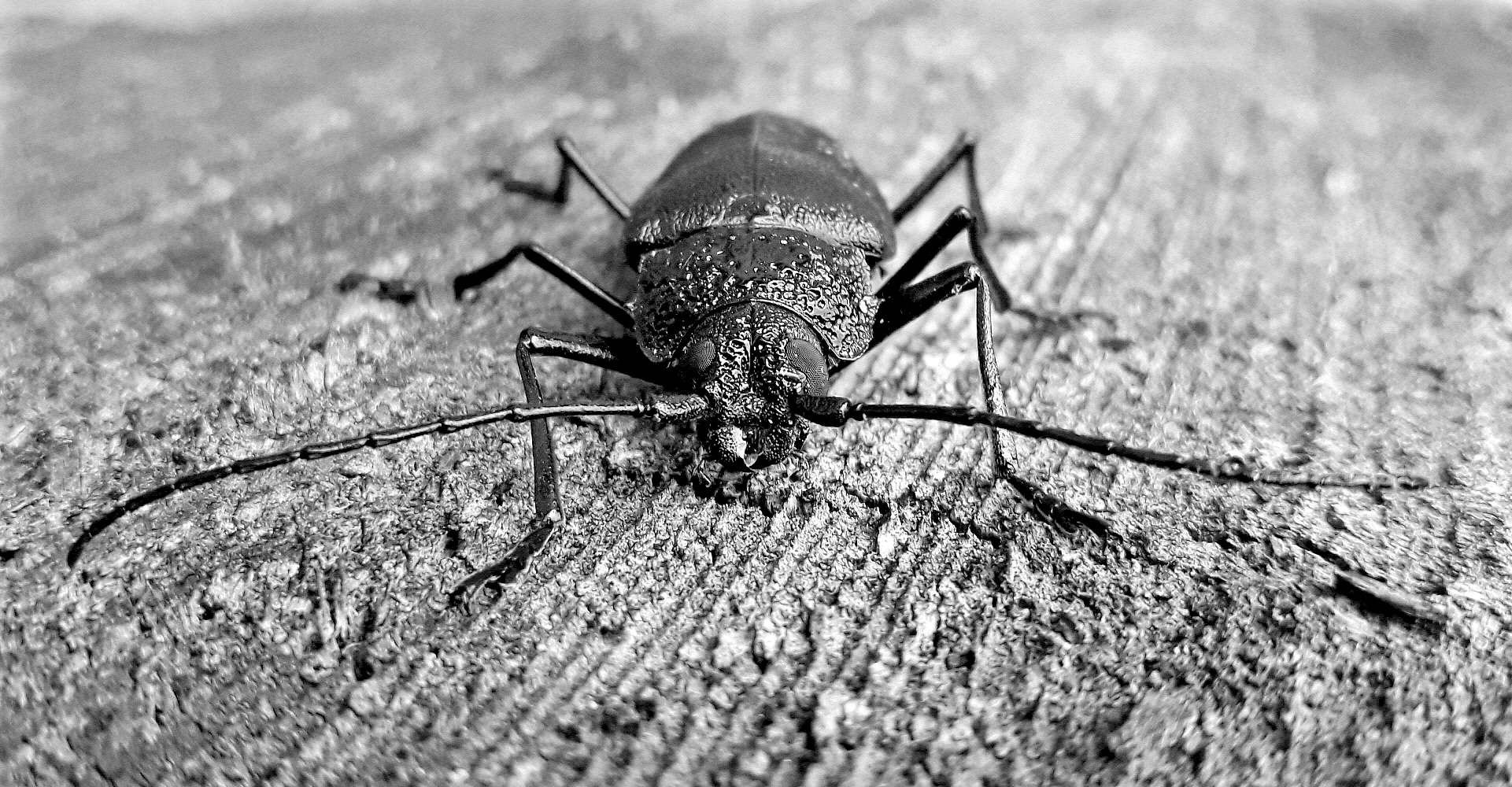 Un tipo poco simpatico!