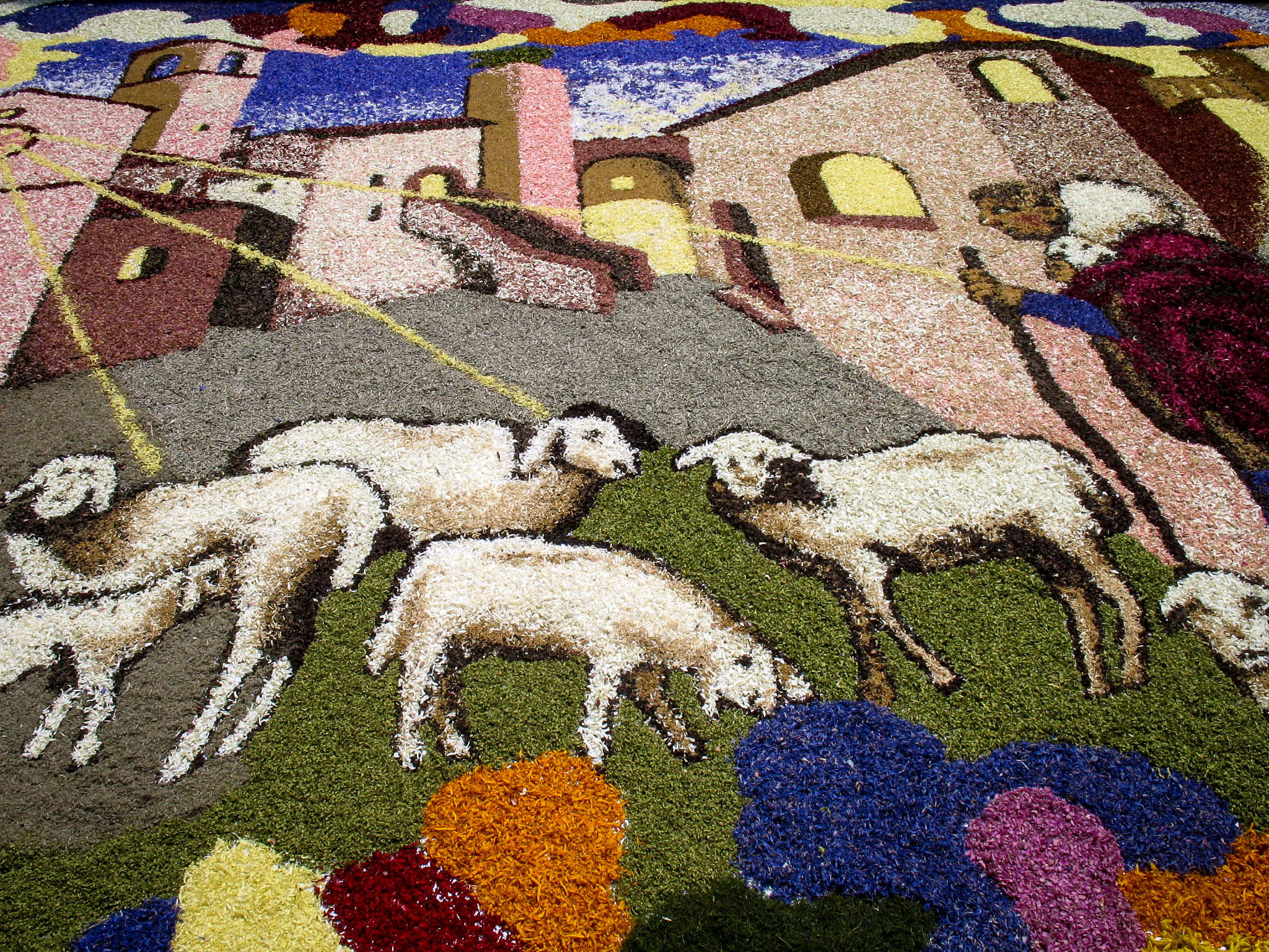 Infiorata di Spello