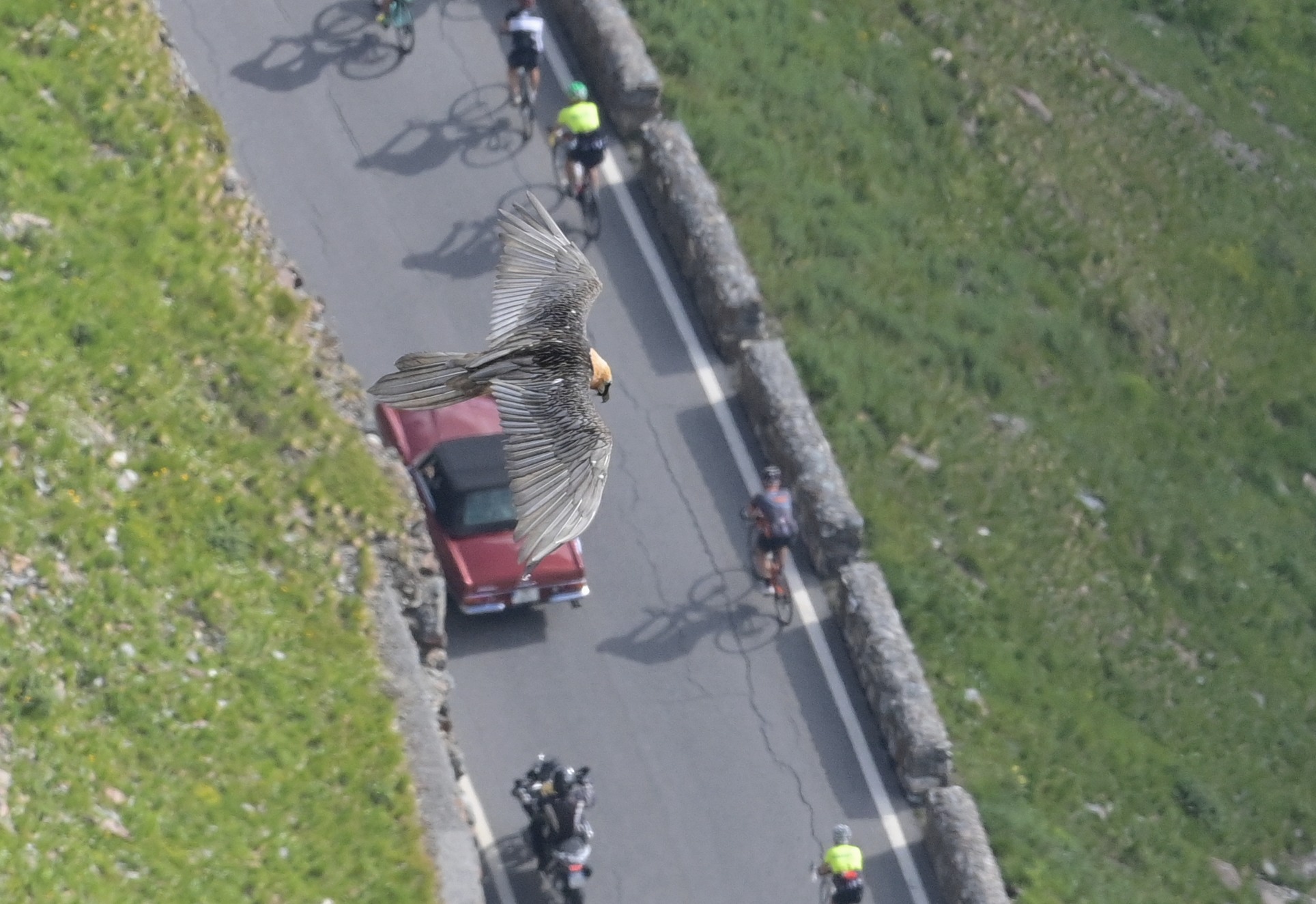 Vediamo se sono tutti in regola