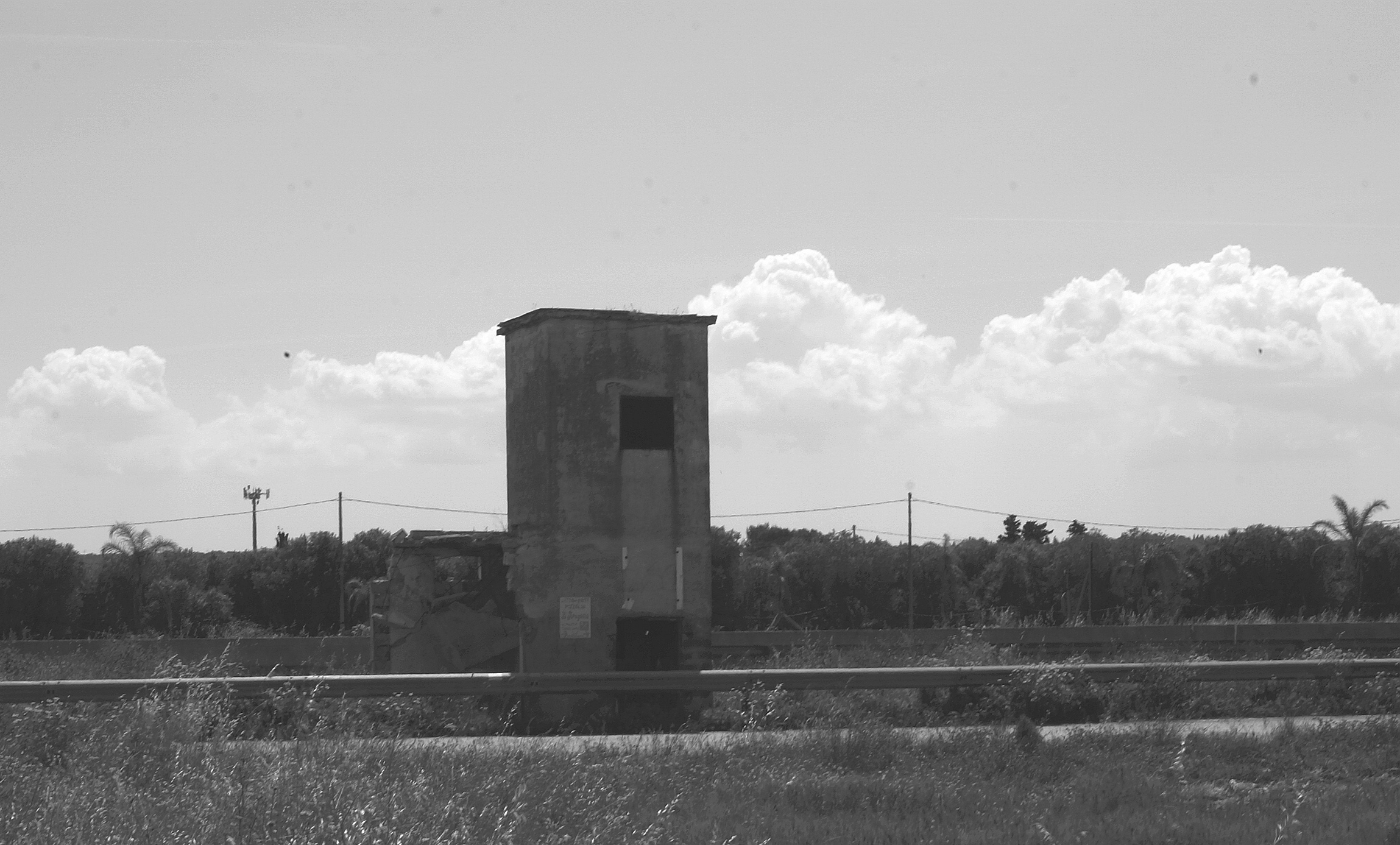 Specchiolla for Torre Guaceto