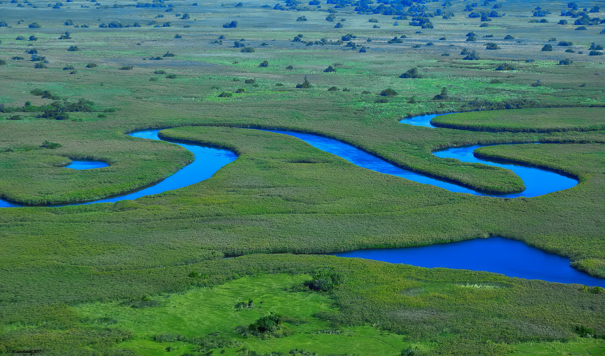 Delta dell'Okavango (Botswana)