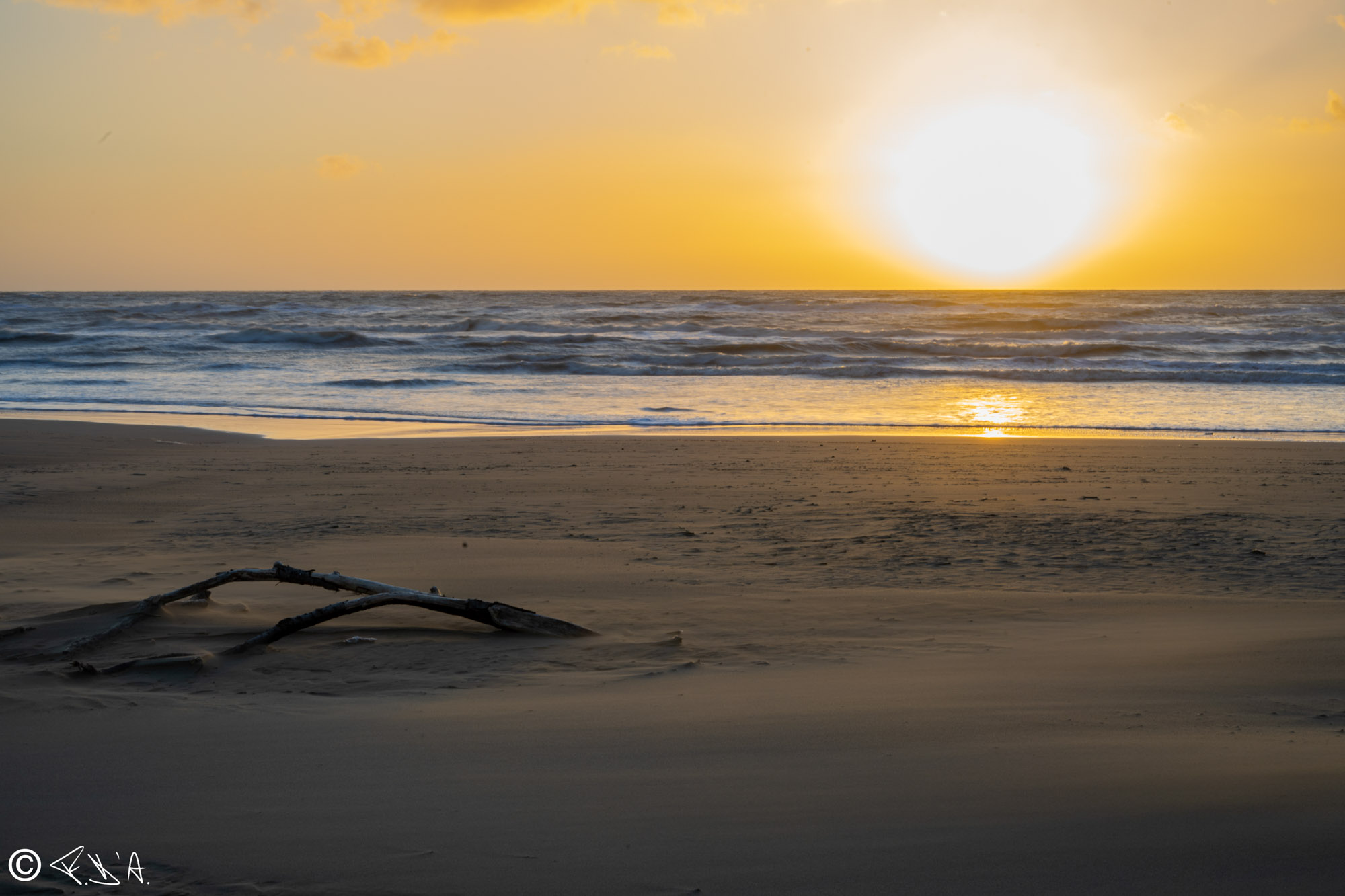 Sea of Civitavecchia