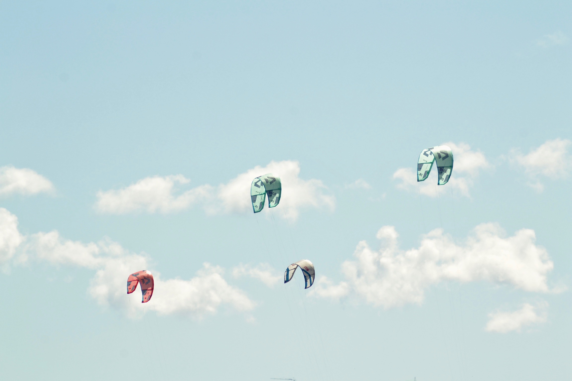sky of kites
