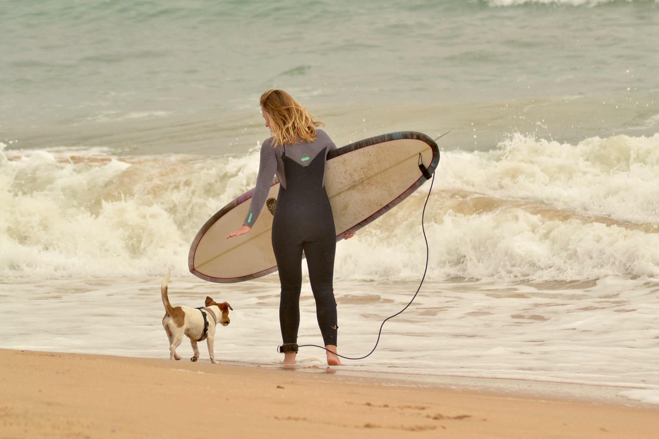 surf sesh with the dog at Praia dos Três Irmãos