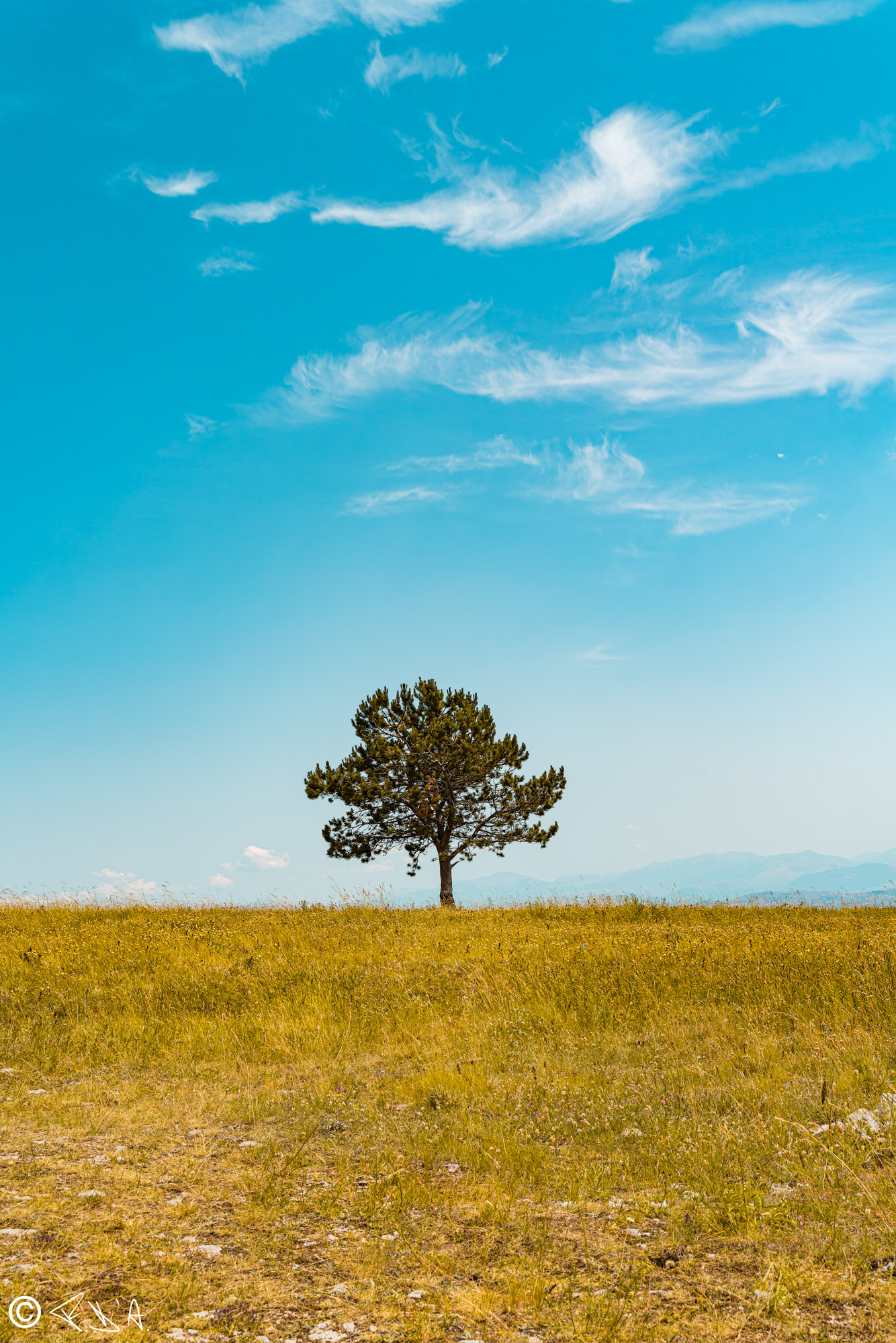 Alone in Abruzzo