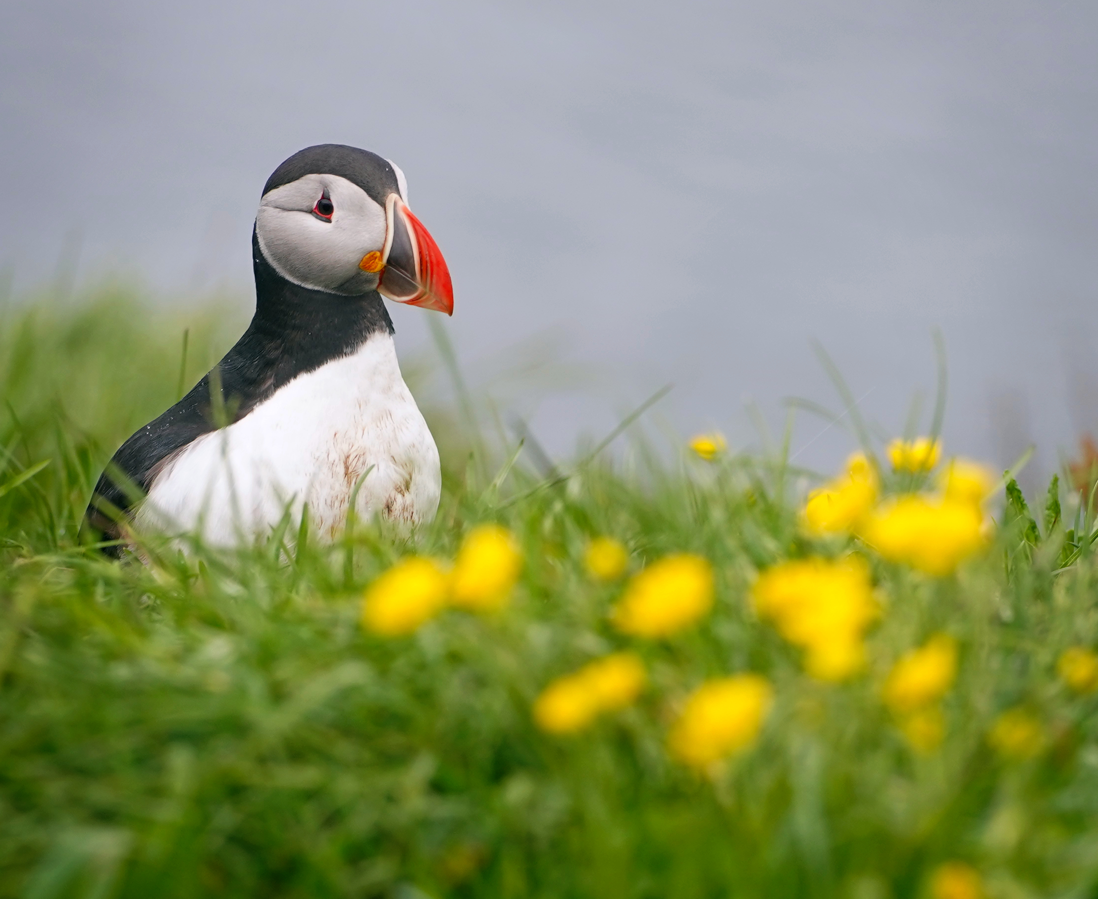 "Ma chi mi ha fatto fare tutti questi km?"