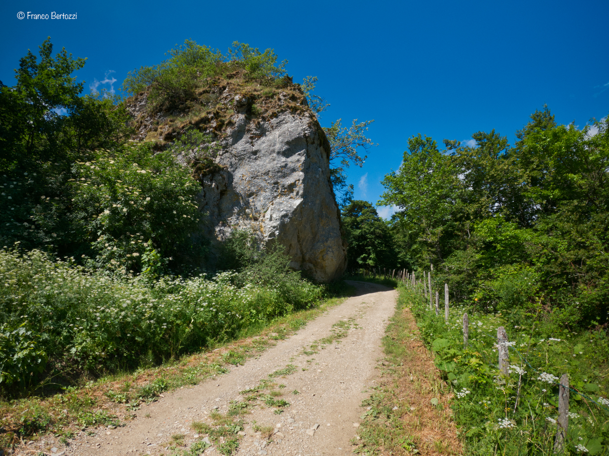 I Sassoni, massi erranti dell'Appennino