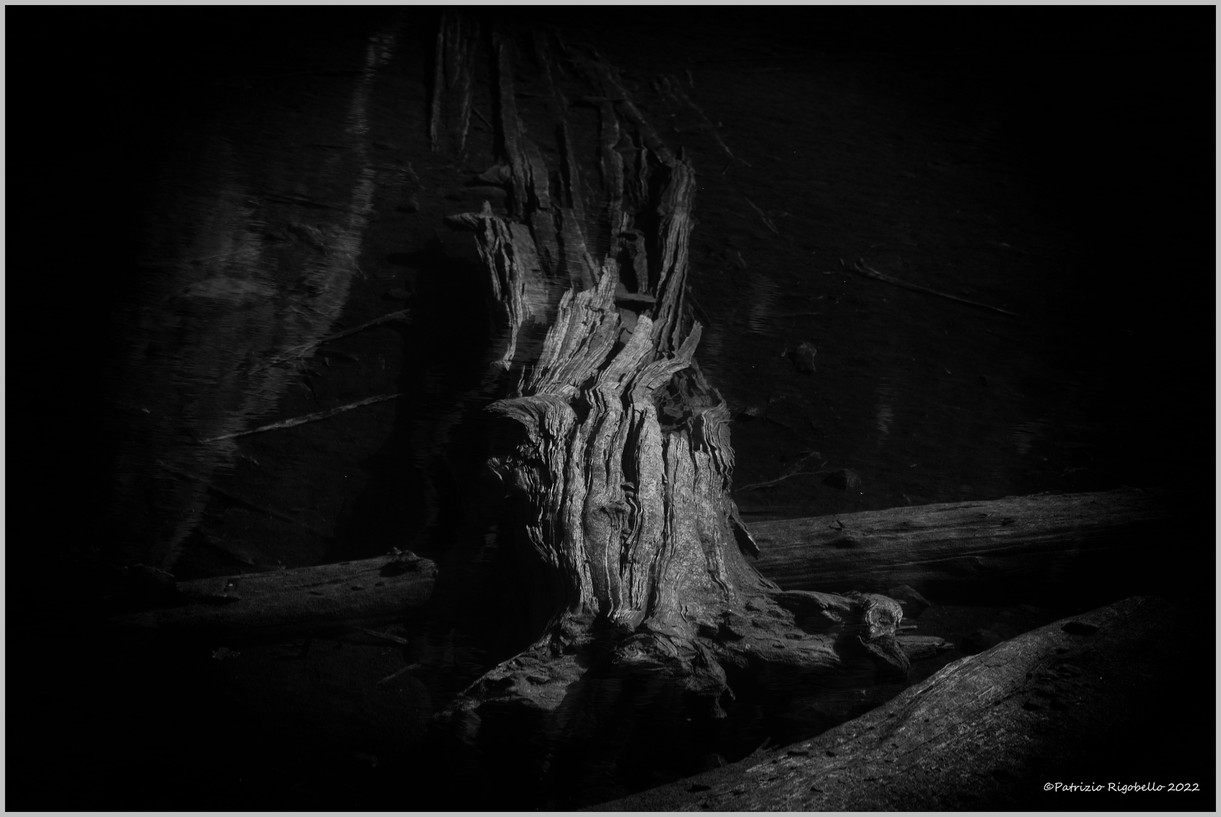 Lake Tovel, submerged trunk