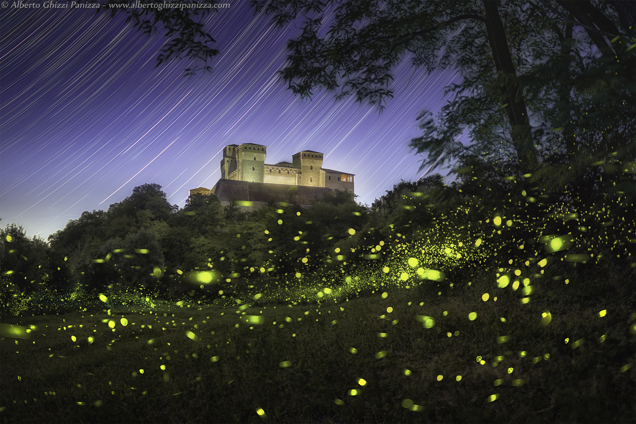 Fireflies at the summer solstice