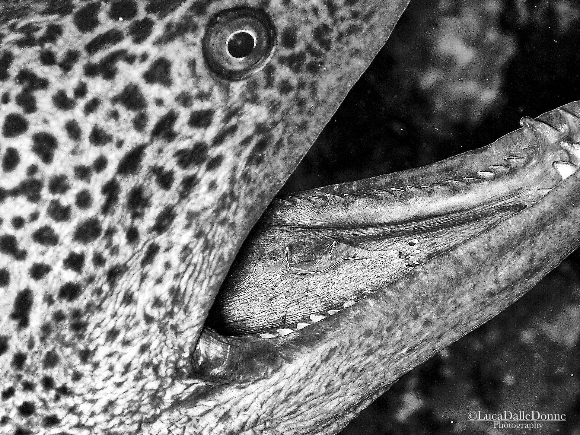 It's time for cleaning