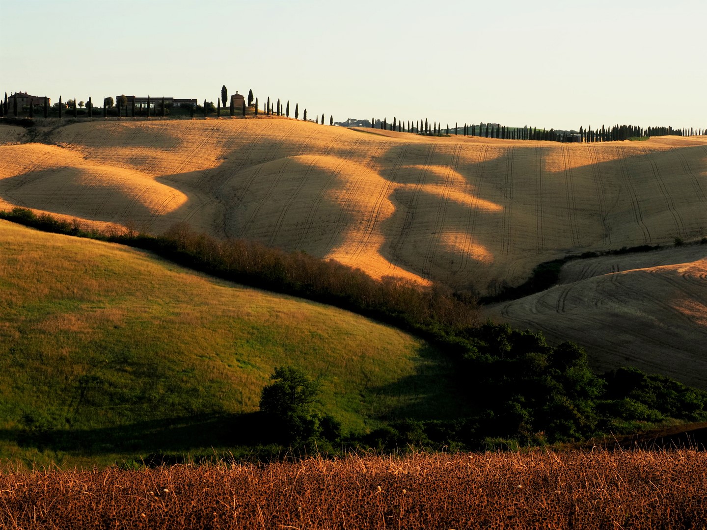 Shadows and Sunset in Val D'Orcia