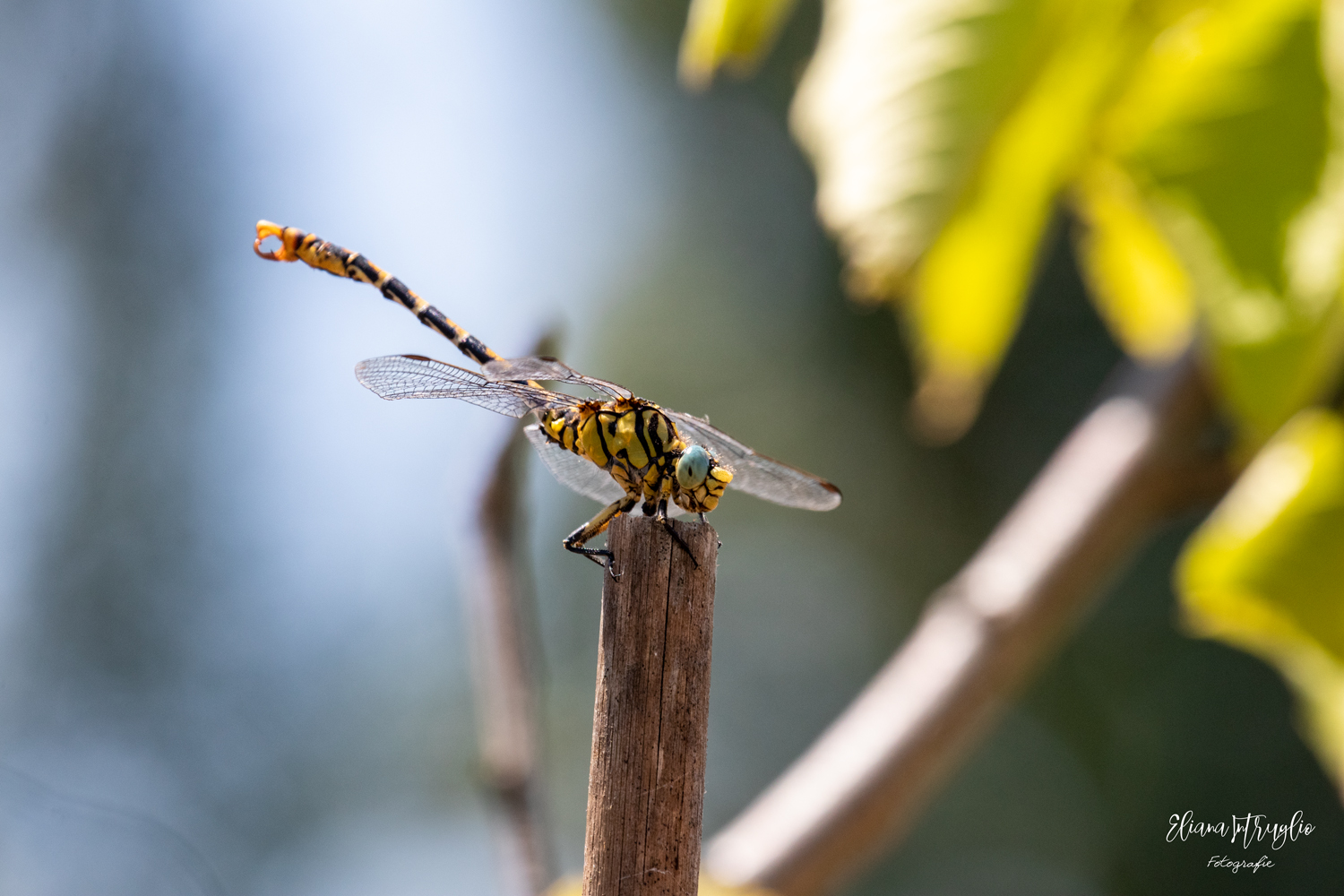 Rest for a few moments