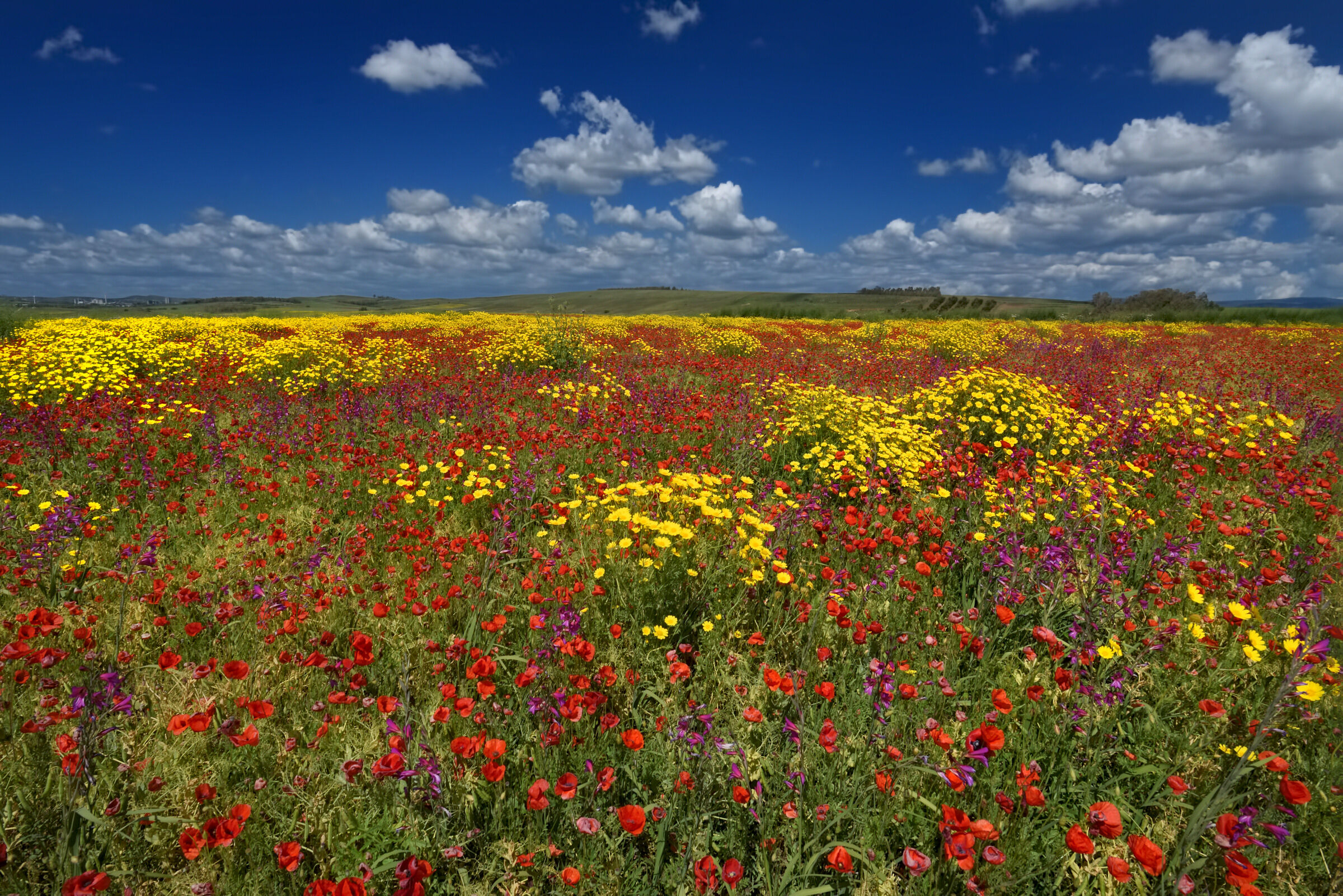 Un ' esplosione di colori