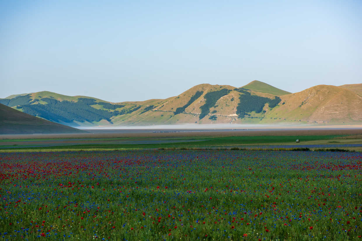 Castelluccio di Norcia