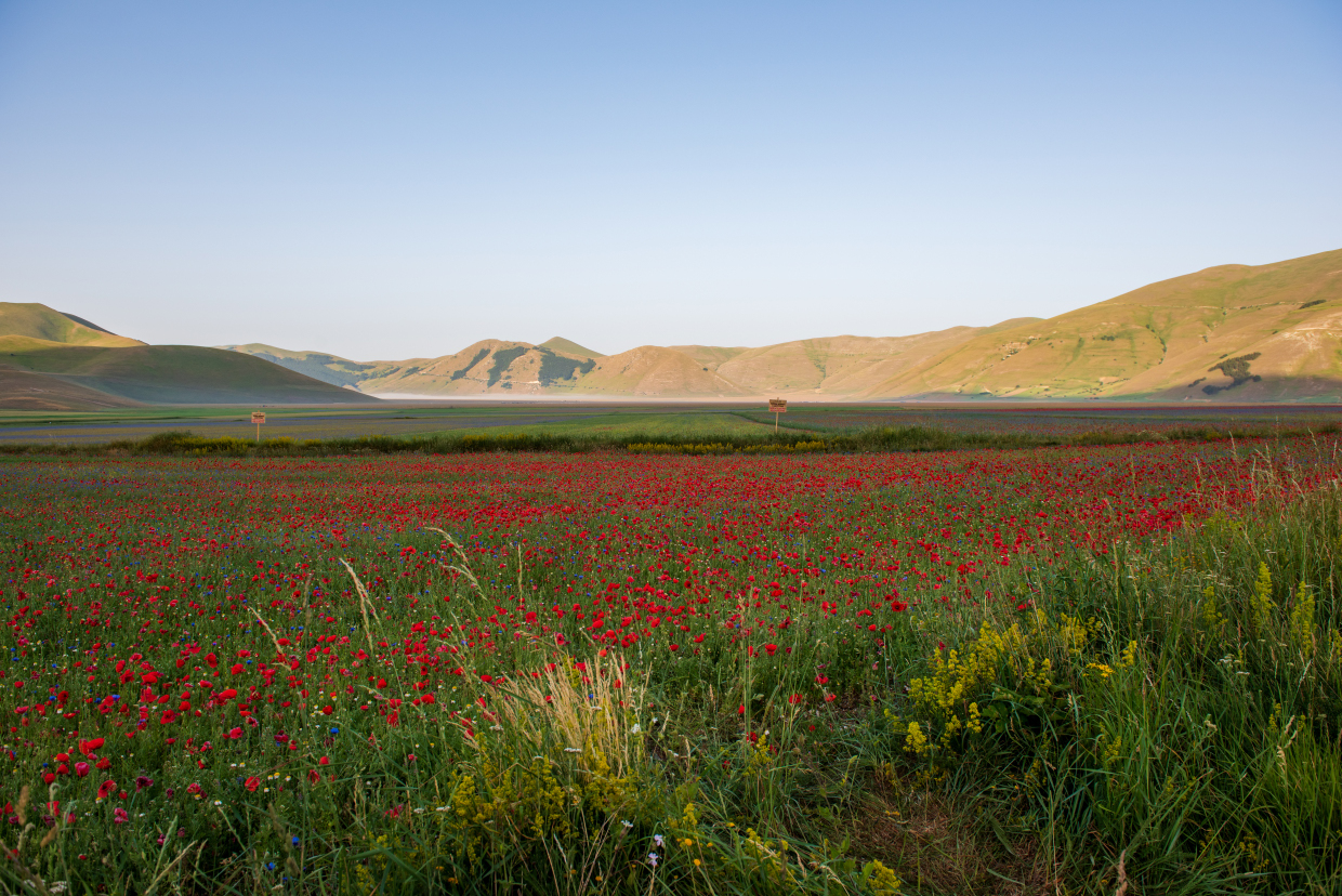 Castelluccio di Norcia