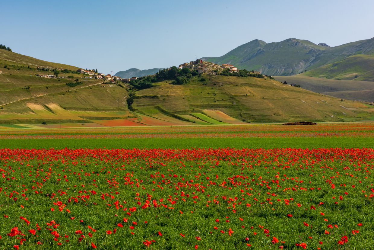 Castelluccio di Norcia