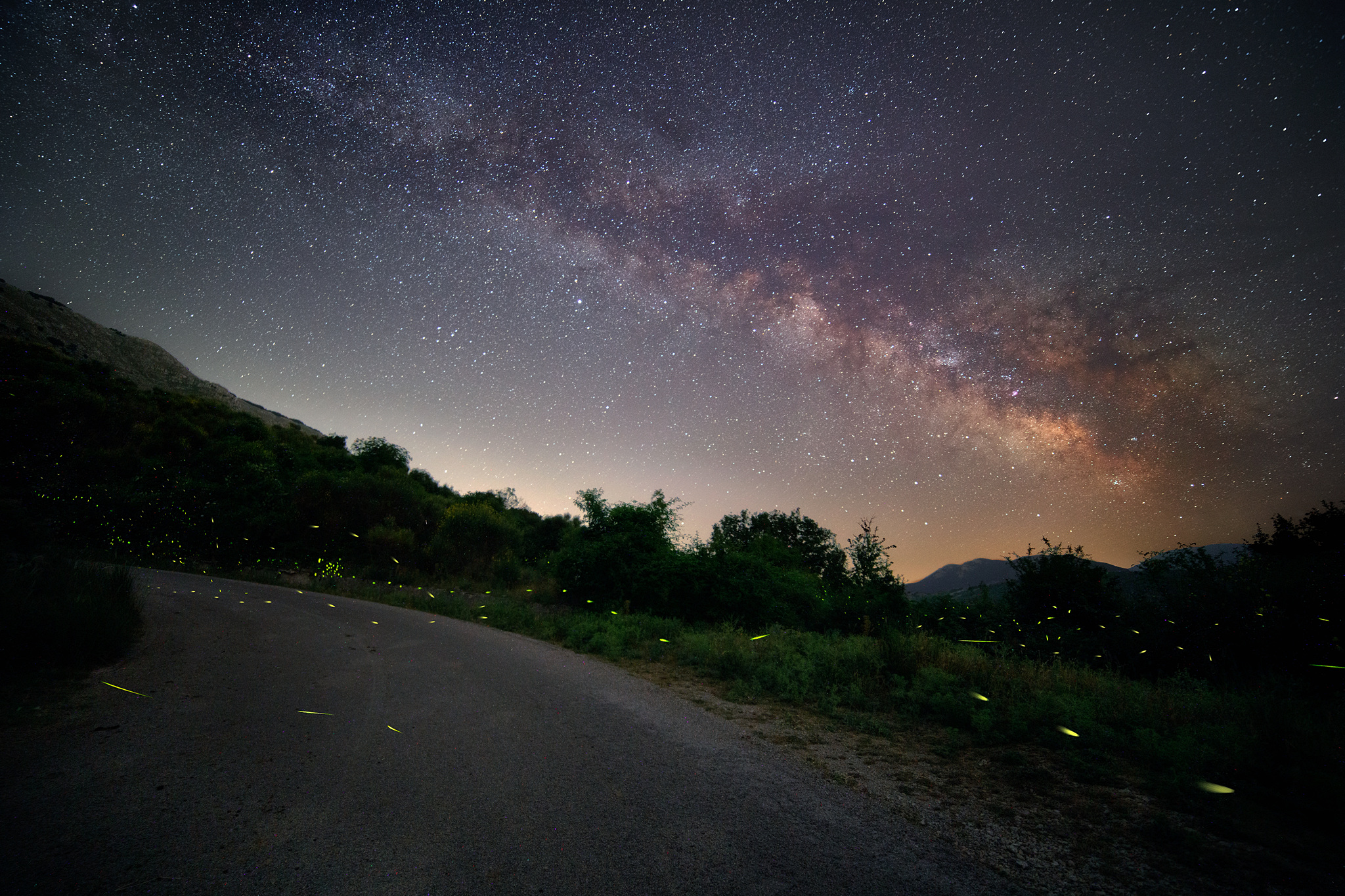 firefles in the milkyway