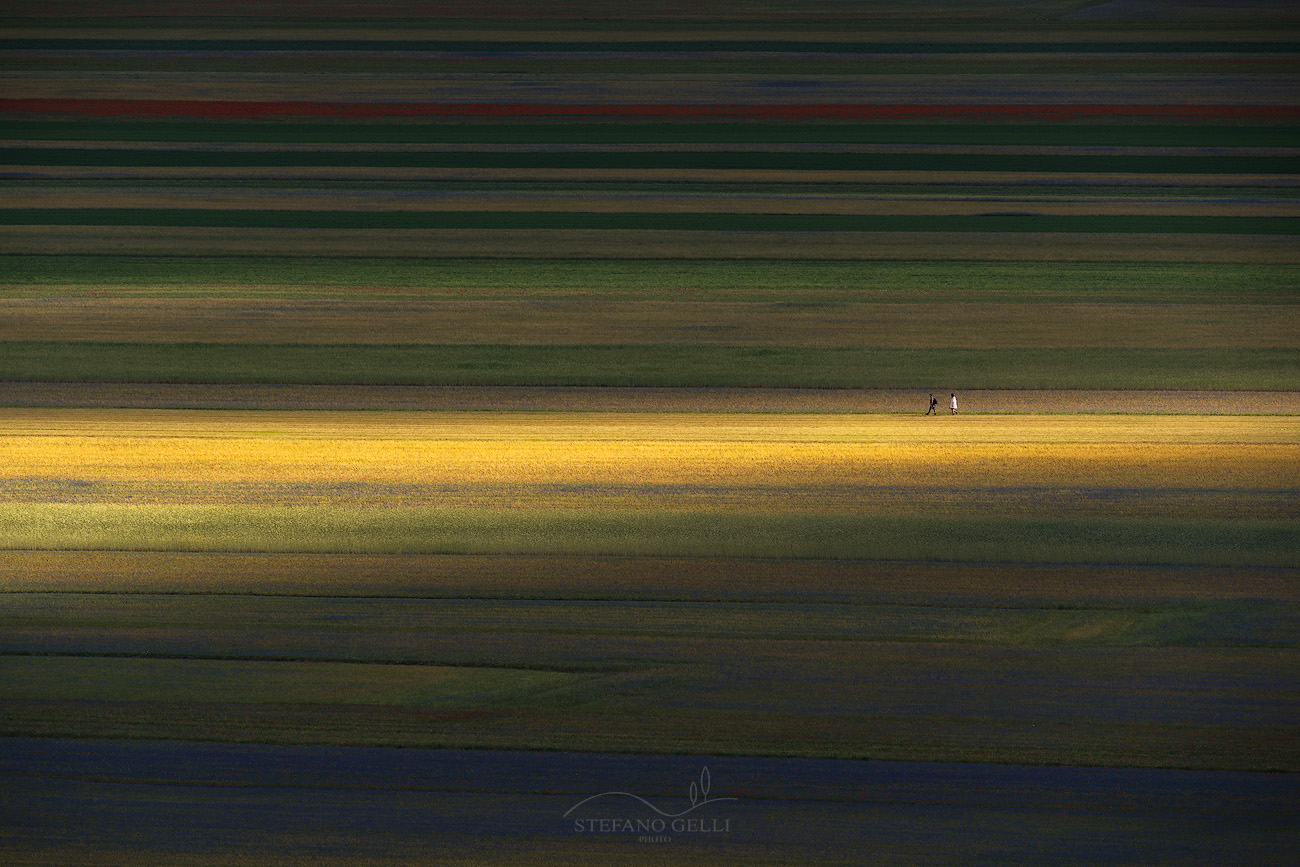 La piana di Castelluccio