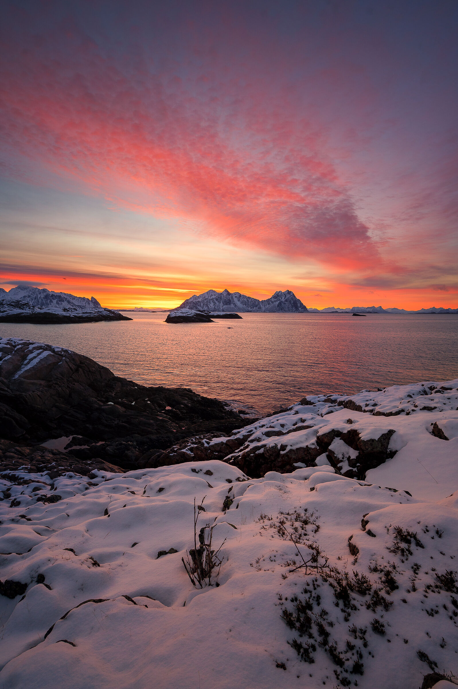 The enchantment of the light of the North