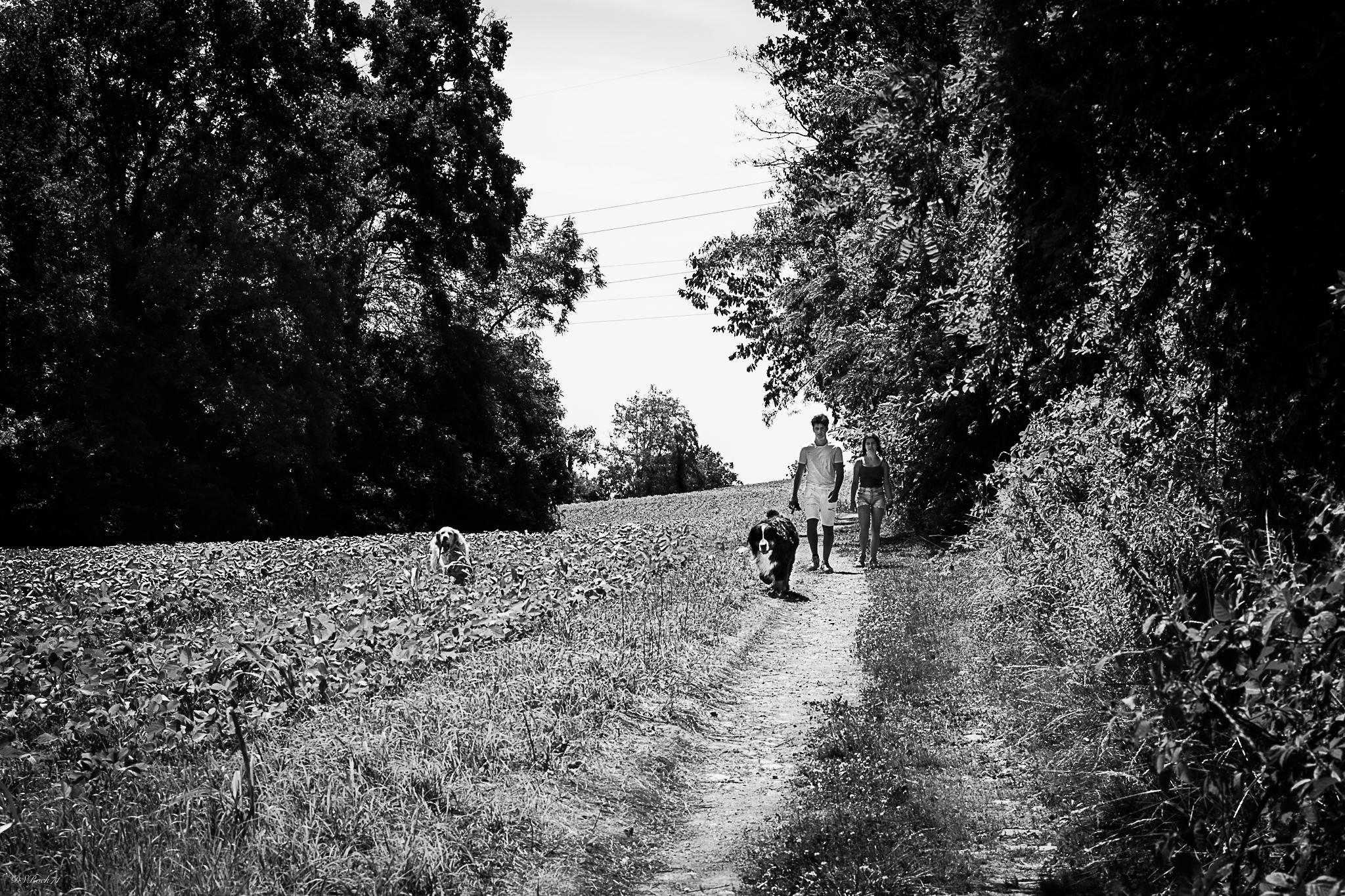 4 passi in campagna....