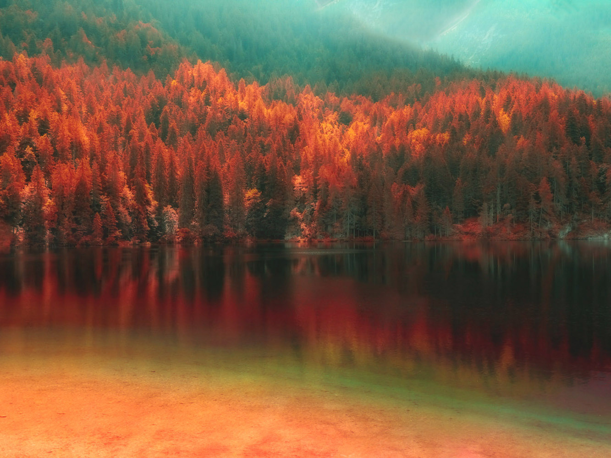 Il Mondo che Vorrei..