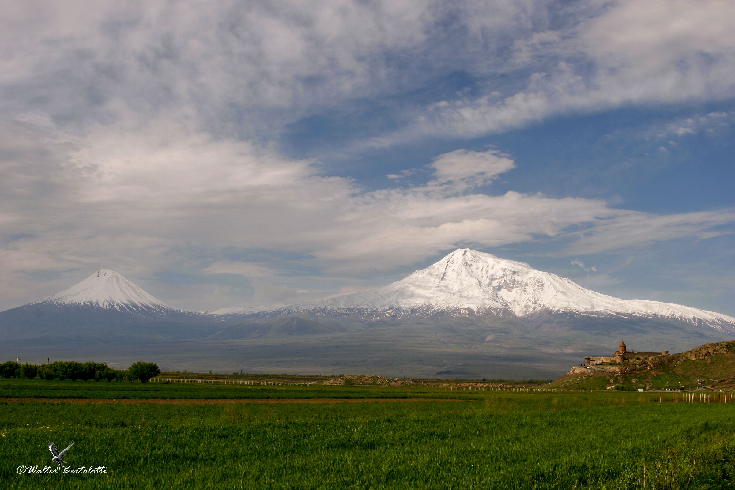 the small and the big Ararat