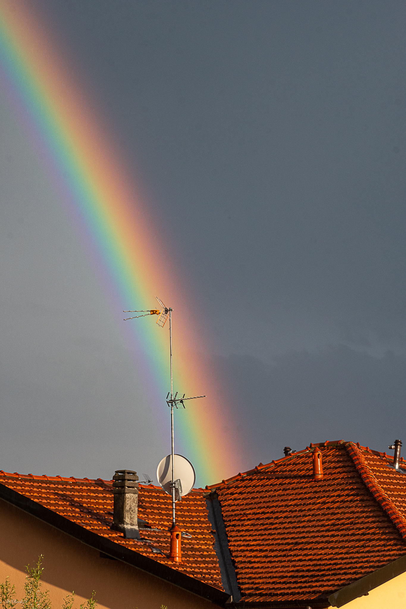 rainbow (particolare)