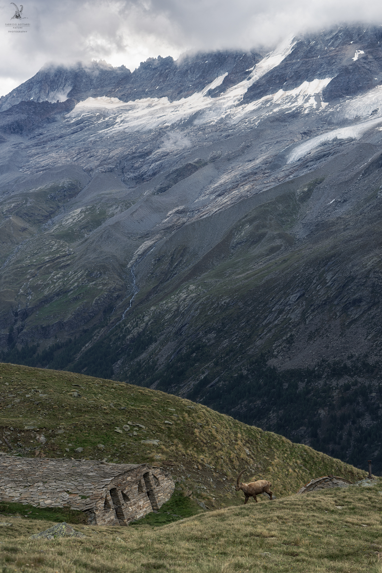 Two steps in "Paradise"