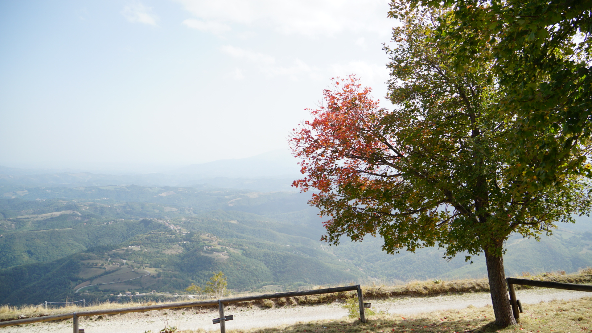 Mount Sibilla, almost halfway uphill