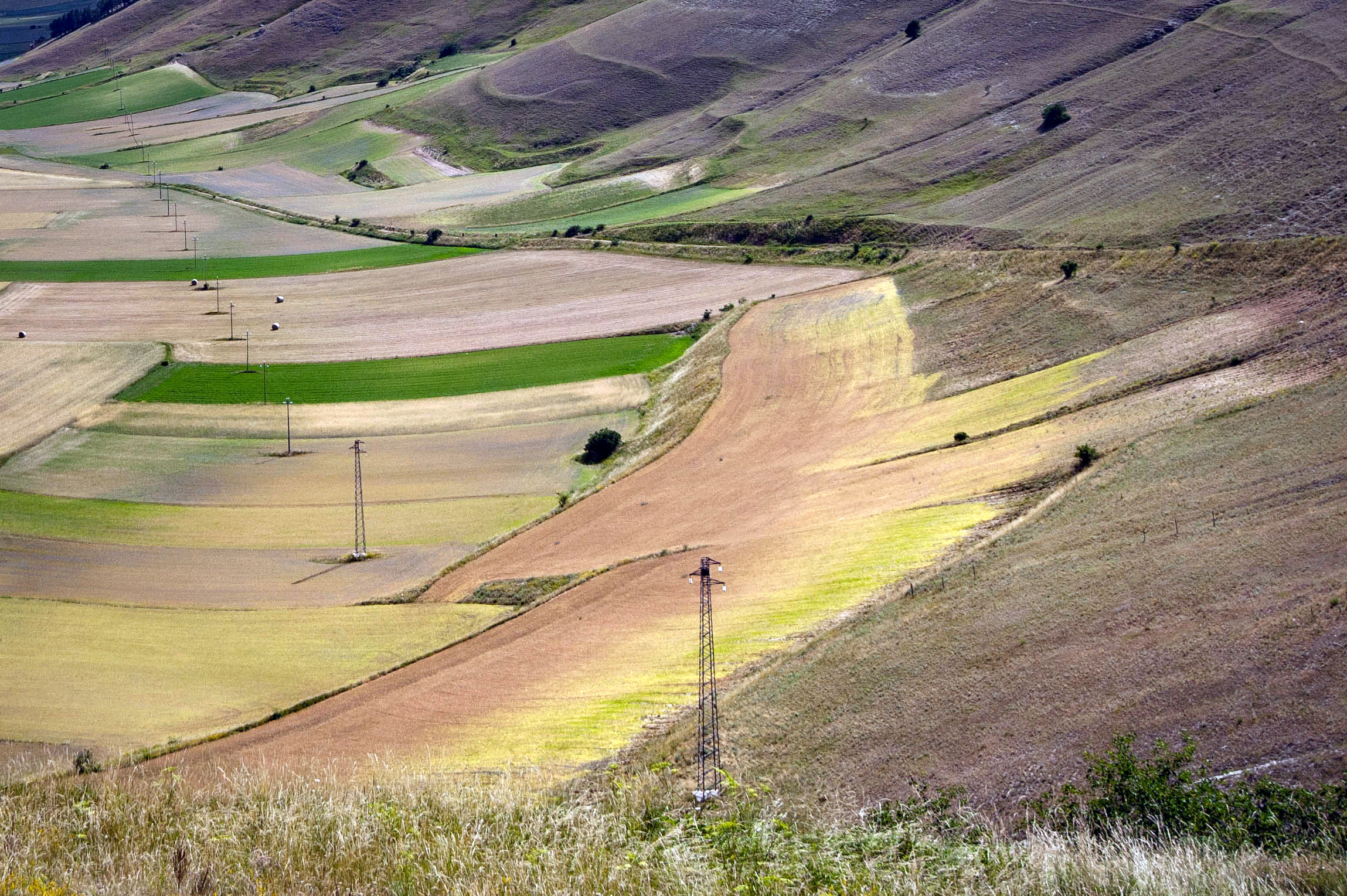 Castelluccio di Norcia: Fioritura 2022