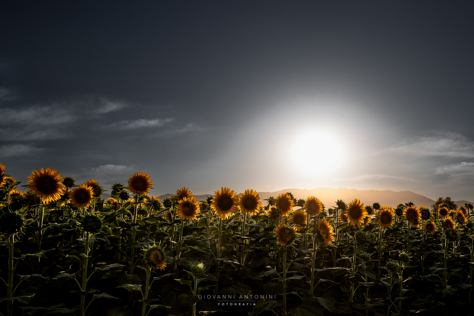 Towards sunset