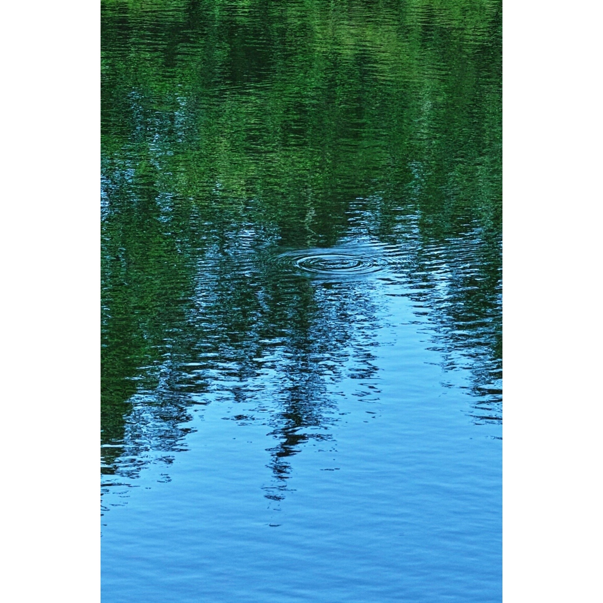 Untitled Photo