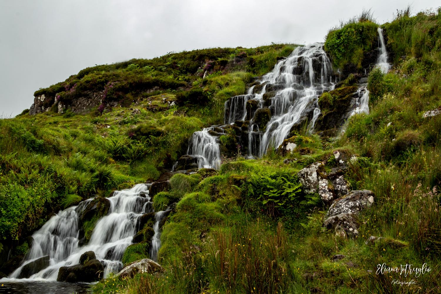 The veil of the bride