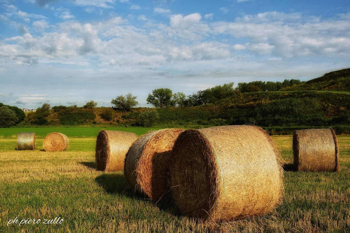 They are just bales, many bales...