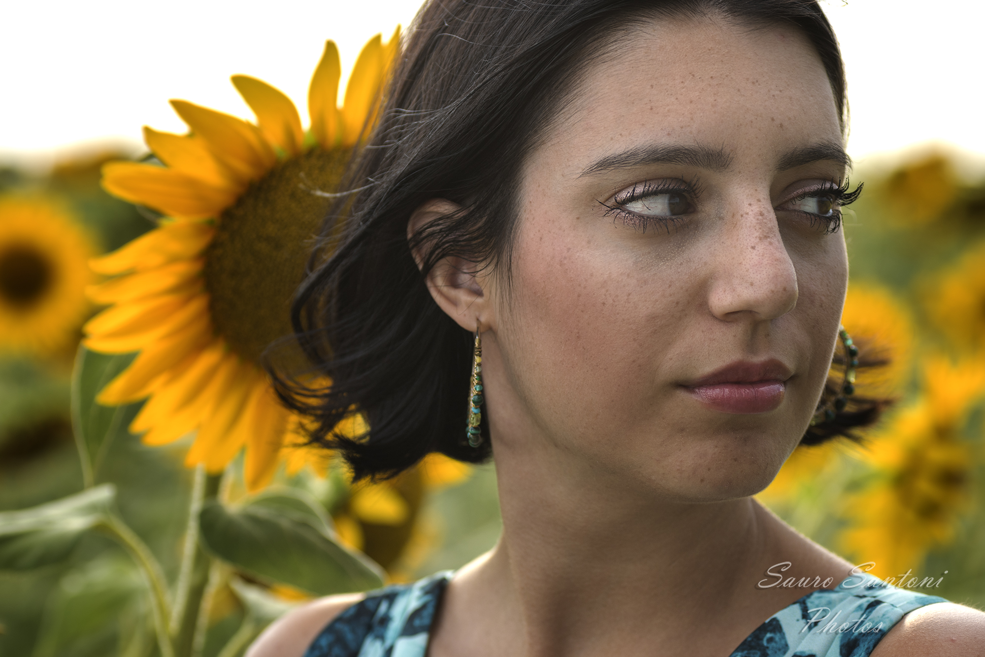 Gira gira il sole...