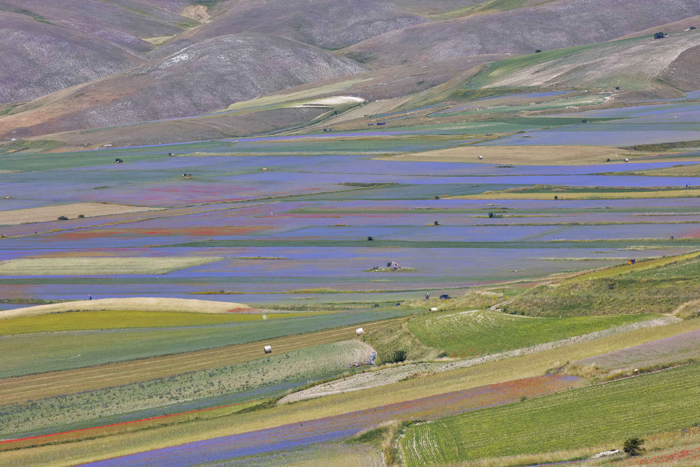 Fiorita Valley 2022